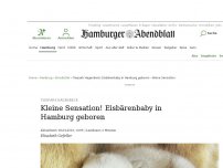Bild zum Artikel: Tierpark Hagenbeck: Flauschige Sensation! Eisbärenbaby in Hamburg geboren