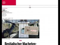 Bild zum Artikel: Bestialischer Macheten-Mord: Täter laufen frei durch Wien!