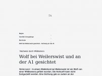 Bild zum Artikel: [GA+] Nachweis durch Wildkamera: Wolf bei Weilerswist und an der A1 gesichtet