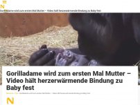 Bild zum Artikel: Gorilladame wird zum ersten Mal Mutter – Video hält herzerwärmende Bindung zu Baby fest