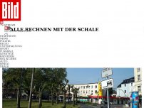 Bild zum Artikel: Alle rechnen mit der Schale - Dortmund stellt Schilder für die Titel-Party auf!