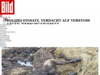 Bild zum Artikel: Anzeigen, Untersuchungen! - Kalb verendet auf NABU-Hof
