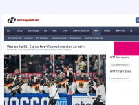 Bild zum Artikel: Was es heißt, Eishockey-Vizeweltmeister zu sein