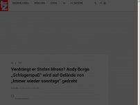 Bild zum Artikel: Verdrängt er Stefan Mross? Andy Borgs „Schlagerspaß“ wird auf Gelände von „Immer wieder sonntags“ gedreht