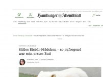 Bild zum Artikel: Tierpark Hagenbeck: Süßes Eisbär-Mädchen – so aufregend war sein erstes Bad