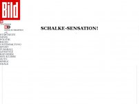 Bild zum Artikel: Schalke-Sensation! - Irre Wende bei Terodde