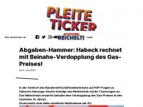 Bild zum Artikel: Abgaben-Hammer: Habeck rechnet mit Beinahe-Verdopplung des Gas-Preises!