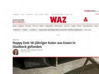 Bild zum Artikel: Haustiere: Happy End: 18-jähriger Kater aus Essen in Gladbeck gefunden