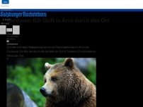 Bild zum Artikel: Gardasee: Bär läuft in Arco durch den Ort