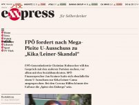 Bild zum Artikel: FPÖ fordert nach Mega-Pleite U-Ausschuss zu „Kika/Leiner-Skandal“