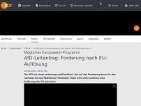 Bild zum Artikel: AfD-Leitantrag: Forderung nach EU-Auflösung