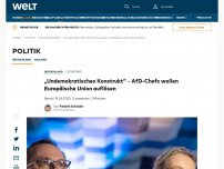 Bild zum Artikel: „Undemokratisches Konstrukt“ – AfD-Chefs wollen Europäische Union auflösen