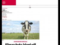 Bild zum Artikel: Klimaschutz: Irland will 200.000 Kühe töten