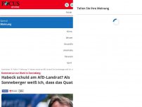 Bild zum Artikel: Kommentar zur Wahl in Sonneberg - Habeck schuld am AfD-Landrat? Als Sonneberger weiß ich, dass das Quatsch ist