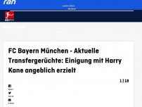 Bild zum Artikel: Bericht: Bayern ist sich mit Kane einig