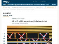 Bild zum Artikel: AfD hofft auf Bürgermeisteramt in Sachsen-Anhalt