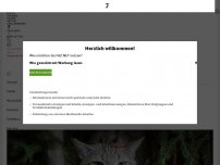 Bild zum Artikel: Europäische Wildkatze breitet sich in Niedersachsen aus