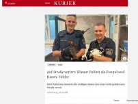 Bild zum Artikel: Auf Straße verirrt: Wiener Polizei als Freund und Hasen-Helfer