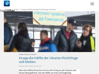 Bild zum Artikel: Knapp die Hälfte der Ukraine-Flüchtlinge will bleiben