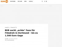 Bild zum Artikel: BVB sucht „echte“ Fans für Filmdreh in Dortmund – bis zu 1.500 Euro Gage