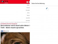 Bild zum Artikel: Auf beliebter deutscher Urlaubsinsel - Betrunkener wirft Hund zehn Meter in die Tiefe - Motiv macht sprachlos