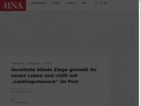 Bild zum Artikel: Gerettete blinde Ziege genießt ihr neues Leben und chillt mit „Lieblingsmensch“ im Pool