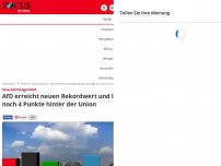 Bild zum Artikel: Insa-Sonntagstrend - AfD erreicht neuen Rekordwert und liegt nur noch 4 Punkte hinter der Union