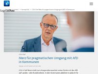 Bild zum Artikel: CDU-Chef Merz für pragmatischen Umgang mit AfD in Kommunen
