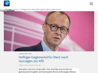 Bild zum Artikel: Heftige Kritik an Merz-Äußerungen zur AfD aus eigener Partei