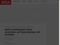 Bild zum Artikel: Wolf: Waldkappler Einrichtungen verzichten auf Spaziergänge