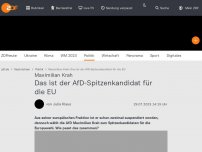 Bild zum Artikel: Das ist der AfD-Spitzenkandidat für die EU