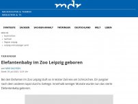 Bild zum Artikel: Elefantenbaby im Zoo Leipzig geboren