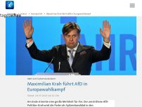 Bild zum Artikel: Maximilian Krah führt AfD in Europawahlkampf