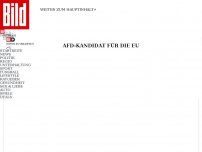 Bild zum Artikel: Höcke auf AfD-Parteitag - „Diese EU muss sterben“
