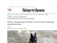 Bild zum Artikel: Keula: Dreibeinige Hündin Lore ist seit Samstag verschwunden