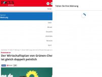 Bild zum Artikel: Kommentar - Der Wirtschaftsplan von Grünen-Chefin Lang ist gleich doppelt peinlich