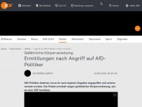 Bild zum Artikel: Ermittlungen nach Angriff auf AfD-Politiker