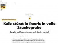 Bild zum Artikel: Kalb stürzt in Rauris in volle Jauchegrube