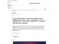 Bild zum Artikel: Leuchtendes Geschwader: Das Stadtfest Dresden gipfelt in einer Drohnen-Show