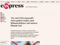 Bild zum Artikel: “Zu viel CO2-Ausstoß”: Jetzt gehen Linke und Klimaschützer auf unsere Hunde los!