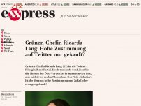 Bild zum Artikel: Grünen-Chefin Ricarda Lang: Hohe Zustimmung auf Twitter nur gekauft?