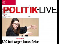 Bild zum Artikel: SPÖ tobt wegen Liebesreise von Swarovski und Mateschitz