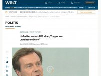 Bild zum Artikel: Hofreiter nennt AfD eine „Truppe von Landesverrätern“