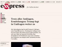 Bild zum Artikel: Trotz aller Anklagen, Ermittlungen: Trump legt in Umfragen weiter zu