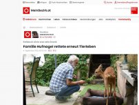 Bild zum Artikel: Familie Hufnagel rettete erneut Tierleben