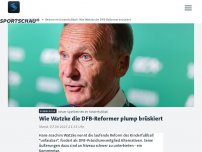 Bild zum Artikel: Wie Watzke die DFB-Reformer plump brüskiert