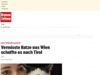 Bild zum Artikel: Vermisste Katze aus Wien schaffte es nach Tirol