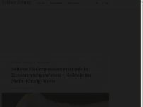 Bild zum Artikel: Seltene Fledermausart erstmals in Hessen nachgewiesen - Kolonie im Main-Kinzig-Kreis