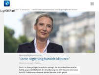 Bild zum Artikel: Weidel im ARD-Sommerinterview: 'Diese Regierung handelt idiotisch'