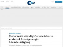 Bild zum Artikel: Hahn kräht und kräht – Osnabrückerin erstattet Anzeige wegen Lärmbelästigung